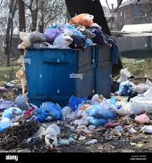 Best Dumpster Rental Services  in Loughman, FL