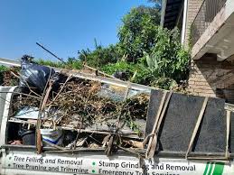 Best Hoarding Cleanup  in Loughman, FL